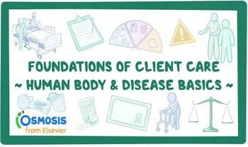 Foundations of Client Care 1: Human Body and Disease Basics